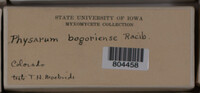 Image Associated With the Occurence